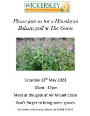 Himalayan Balsam Pull - CANCELLED AS NOT READY FOR PULLING