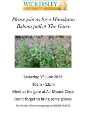 Himalayan Balsam Pull