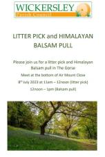 Litter Pick and Himalayan Balsam Pull at The Gorse