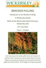 Bracken Pull Wickersley Wood