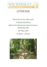 Wickersley wood litter pick 18.5.24