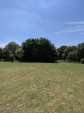 Circle of Twelve Trees at Bob Mason Recreation Ground