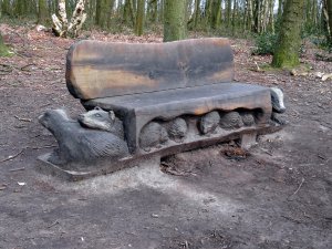 The Badger bench from the front